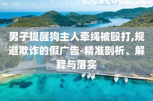男子提醒狗主人牽繩被毆打,規(guī)避欺詐的假廣告-精準(zhǔn)剖析、解釋與落實(shí)