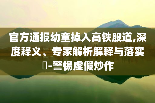 官方通報幼童掉入高鐵股道,深度釋義、專家解析解釋與落實?-警惕虛假炒作