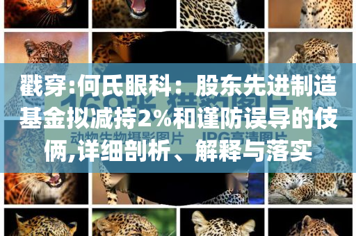 戳穿:何氏眼科：股東先進制造基金擬減持2%和謹防誤導的伎倆,詳細剖析、解釋與落實