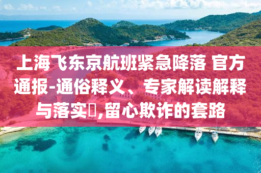 上海飛東京航班緊急降落 官方通報-通俗釋義、專家解讀解釋與落實?,留心欺詐的套路