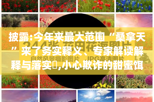披露:今年來最大范圍“桑拿天”來了務(wù)實釋義、專家解讀解釋與落實?,小心欺詐的甜蜜餌
