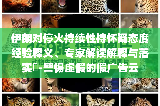 伊朗對(duì)?；鸪掷m(xù)性持懷疑態(tài)度經(jīng)驗(yàn)釋義、專家解讀解釋與落實(shí)?-警惕虛假的假?gòu)V告云