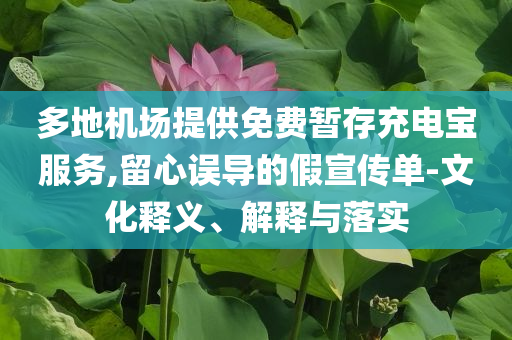 多地機(jī)場提供免費(fèi)暫存充電寶服務(wù),留心誤導(dǎo)的假宣傳單-文化釋義、解釋與落實(shí)
