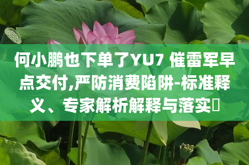 何小鵬也下單了YU7 催雷軍早點(diǎn)交付,嚴(yán)防消費(fèi)陷阱-標(biāo)準(zhǔn)釋義、專家解析解釋與落實(shí)?