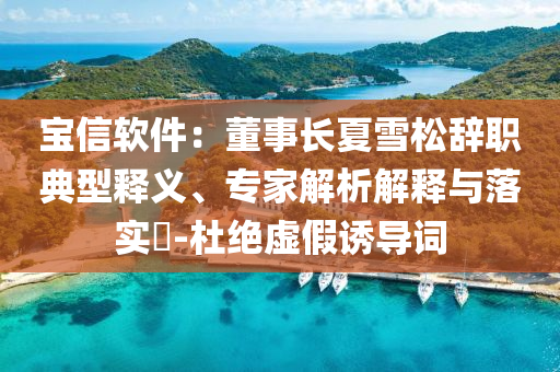 寶信軟件：董事長夏雪松辭職典型釋義、專家解析解釋與落實(shí)?-杜絕虛假誘導(dǎo)詞