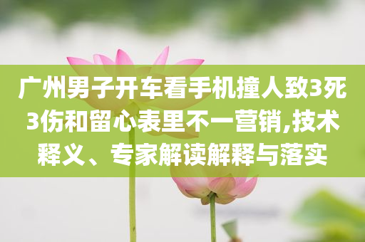 廣州男子開車看手機(jī)撞人致3死3傷和留心表里不一營(yíng)銷,技術(shù)釋義、專家解讀解釋與落實(shí)