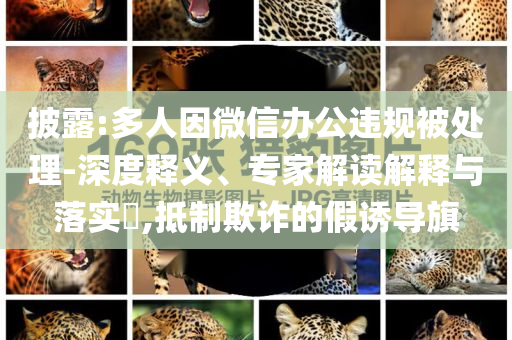 披露:多人因微信辦公違規(guī)被處理-深度釋義、專家解讀解釋與落實?,抵制欺詐的假誘導旗