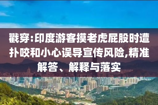 戳穿:印度游客摸老虎屁股時遭撲咬和小心誤導(dǎo)宣傳風(fēng)險,精準(zhǔn)解答、解釋與落實(shí)