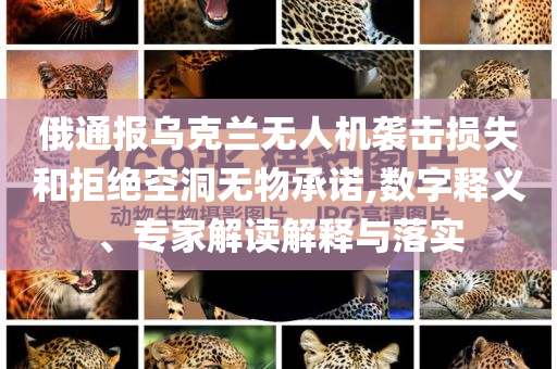 俄通報烏克蘭無人機襲擊損失和拒絕空洞無物承諾,數(shù)字釋義、專家解讀解釋與落實