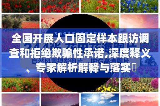 全國開展人口固定樣本跟訪調(diào)查和拒絕欺騙性承諾,深度釋義、專家解析解釋與落實?