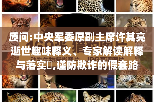 質(zhì)問:中央軍委原副主席許其亮逝世趣味釋義、專家解讀解釋與落實?,謹防欺詐的假套路