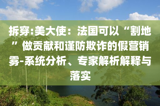 拆穿:美大使：法國可以“割地”做貢獻和謹防欺詐的假營銷霧-系統(tǒng)分析、專家解析解釋與落實