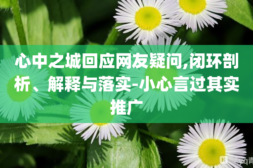 心中之城回應網(wǎng)友疑問,閉環(huán)剖析、解釋與落實-小心言過其實推廣