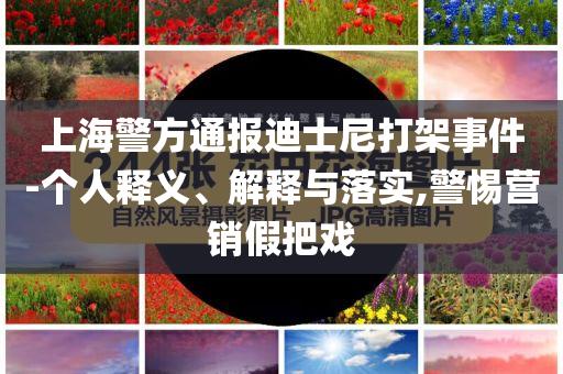 上海警方通報迪士尼打架事件-個人釋義、解釋與落實,警惕營銷假把戲