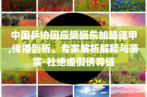 中國乒協(xié)回應樊振東加盟德甲,傳播剖析、專家解析解釋與落實-杜絕虛假誘導鏈