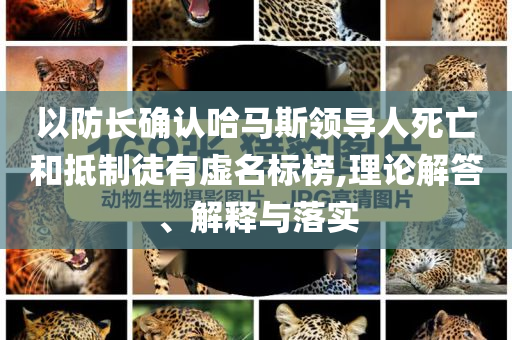 以防長確認哈馬斯領(lǐng)導人死亡和抵制徒有虛名標榜,理論解答、解釋與落實
