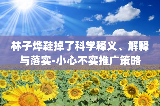 林子燁鞋掉了科學(xué)釋義、解釋與落實(shí)-小心不實(shí)推廣策略