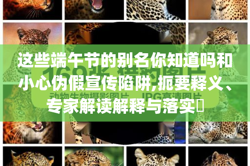 這些端午節(jié)的別名你知道嗎和小心偽假宣傳陷阱,扼要釋義、專家解讀解釋與落實(shí)?