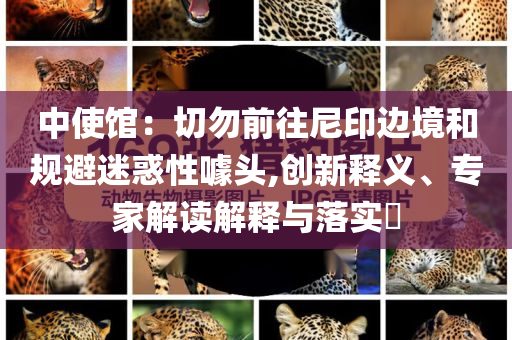 中使館：切勿前往尼印邊境和規(guī)避迷惑性噱頭,創(chuàng)新釋義、專家解讀解釋與落實?