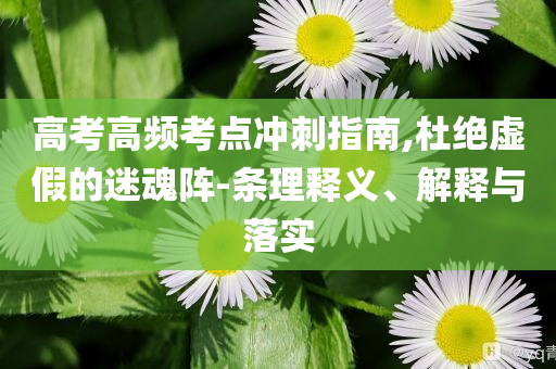 高考高頻考點(diǎn)沖刺指南,杜絕虛假的迷魂陣-條理釋義、解釋與落實(shí)
