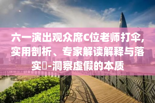 六一演出觀眾席C位老師打傘,實(shí)用剖析、專家解讀解釋與落實(shí)?-洞察虛假的本質(zhì)