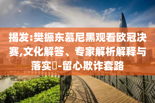 揭發(fā):樊振東慕尼黑觀看歐冠決賽,文化解答、專家解析解釋與落實(shí)?-留心欺詐套路