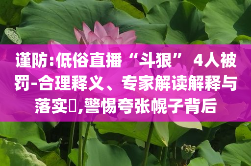 謹防:低俗直播“斗狠” 4人被罰-合理釋義、專家解讀解釋與落實?,警惕夸張幌子背后