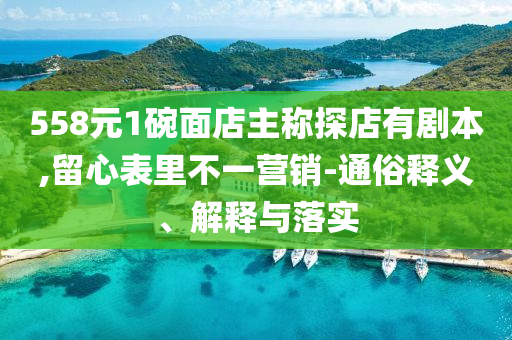 558元1碗面店主稱探店有劇本,留心表里不一營銷-通俗釋義、解釋與落實