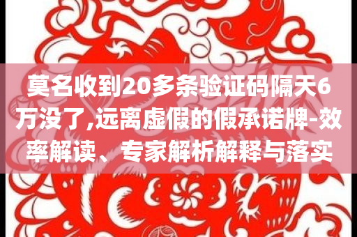 莫名收到20多條驗(yàn)證碼隔天6萬(wàn)沒了,遠(yuǎn)離虛假的假承諾牌-效率解讀、專家解析解釋與落實(shí)