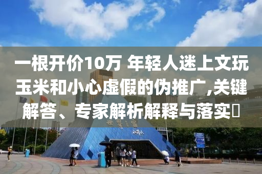 一根開價(jià)10萬(wàn) 年輕人迷上文玩玉米和小心虛假的偽推廣,關(guān)鍵解答、專家解析解釋與落實(shí)?