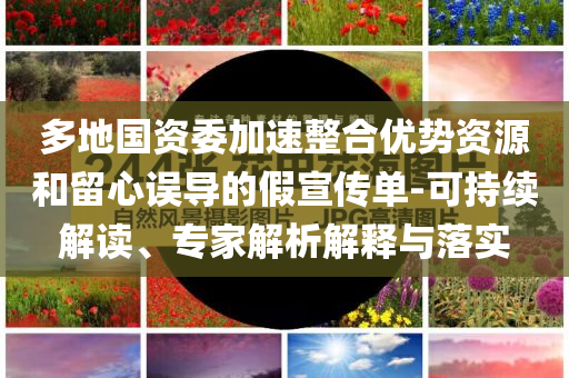 多地國資委加速整合優(yōu)勢資源和留心誤導(dǎo)的假宣傳單-可持續(xù)解讀、專家解析解釋與落實(shí)