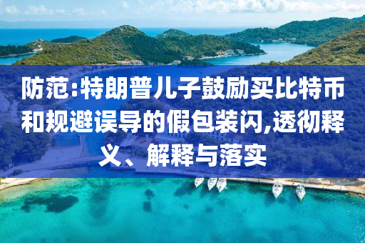 防范:特朗普兒子鼓勵(lì)買(mǎi)比特幣和規(guī)避誤導(dǎo)的假包裝閃,透徹釋義、解釋與落實(shí)