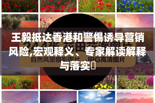 王毅抵達(dá)香港和警惕誘導(dǎo)營銷風(fēng)險(xiǎn),宏觀釋義、專家解讀解釋與落實(shí)?