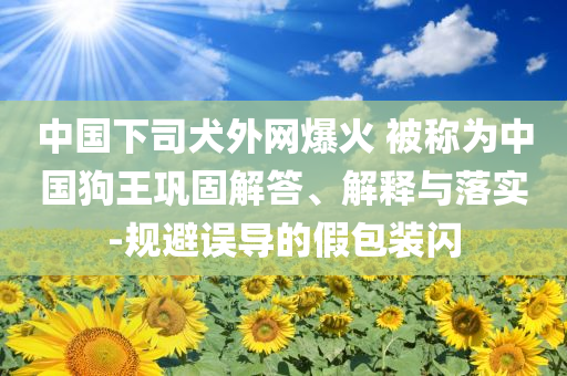 中國(guó)下司犬外網(wǎng)爆火 被稱(chēng)為中國(guó)狗王鞏固解答、解釋與落實(shí)-規(guī)避誤導(dǎo)的假包裝閃