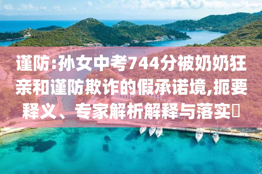 謹防:孫女中考744分被奶奶狂親和謹防欺詐的假承諾境,扼要釋義、專家解析解釋與落實?