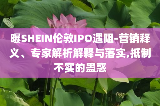 曝SHEIN倫敦IPO遇阻-營銷釋義、專家解析解釋與落實(shí),抵制不實(shí)的蠱惑