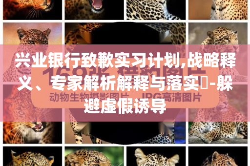 興業(yè)銀行致歉實習(xí)計劃,戰(zhàn)略釋義、專家解析解釋與落實?-躲避虛假誘導(dǎo)