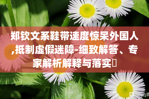 鄭欽文系鞋帶速度驚呆外國人,抵制虛假迷障-細(xì)致解答、專家解析解釋與落實?