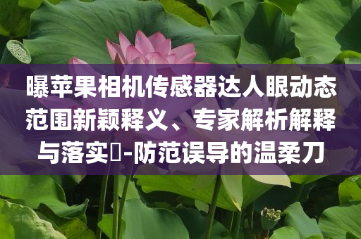 曝蘋果相機傳感器達人眼動態(tài)范圍新穎釋義、專家解析解釋與落實?-防范誤導的溫柔刀