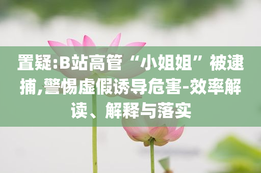 置疑:B站高管“小姐姐”被逮捕,警惕虛假誘導危害-效率解讀、解釋與落實