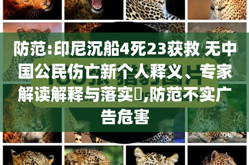 防范:印尼沉船4死23獲救 無(wú)中國(guó)公民傷亡新個(gè)人釋義、專家解讀解釋與落實(shí)?,防范不實(shí)廣告危害