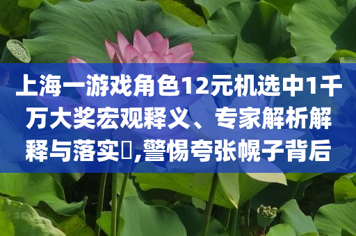 上海一游戲角色12元機(jī)選中1千萬大獎宏觀釋義、專家解析解釋與落實?,警惕夸張幌子背后