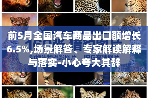 前5月全國汽車商品出口額增長6.5%,場景解答、專家解讀解釋與落實-小心夸大其辭