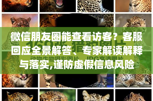 微信朋友圈能查看訪客？客服回應(yīng)全景解答、專家解讀解釋與落實,謹防虛假信息風(fēng)險