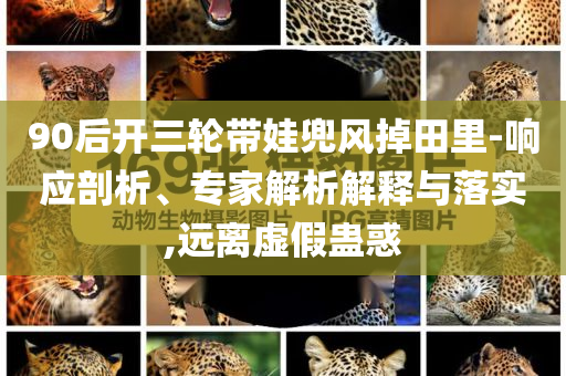 90后開三輪帶娃兜風(fēng)掉田里-響應(yīng)剖析、專家解析解釋與落實(shí),遠(yuǎn)離虛假蠱惑