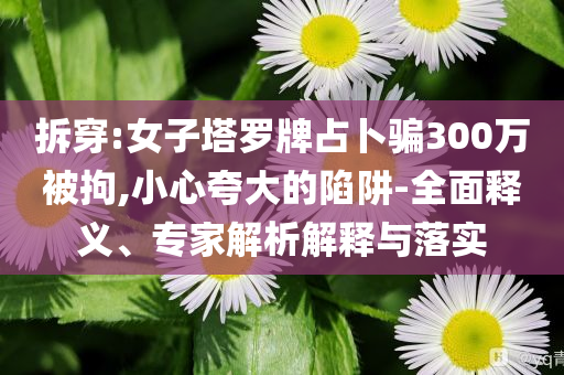 拆穿:女子塔羅牌占卜騙300萬被拘,小心夸大的陷阱-全面釋義、專家解析解釋與落實(shí)
