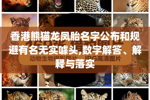 香港熊貓龍鳳胎名字公布和規(guī)避有名無實(shí)噱頭,數(shù)字解答、解釋與落實(shí)