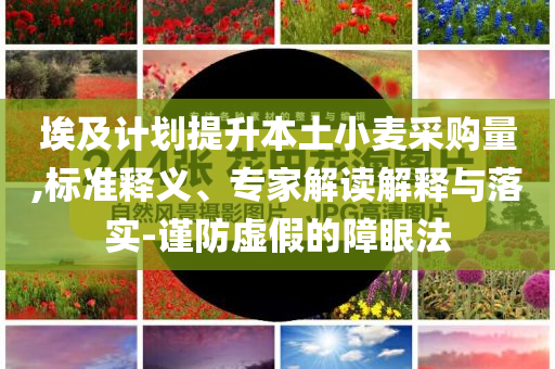 埃及計(jì)劃提升本土小麥采購(gòu)量,標(biāo)準(zhǔn)釋義、專(zhuān)家解讀解釋與落實(shí)-謹(jǐn)防虛假的障眼法