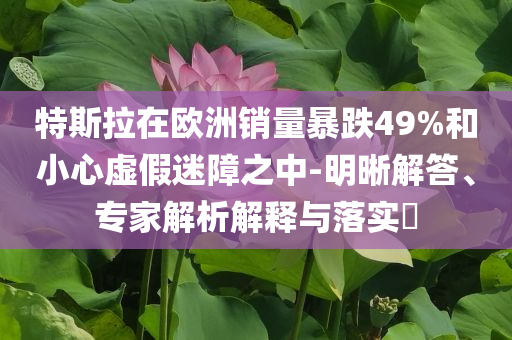 特斯拉在歐洲銷(xiāo)量暴跌49%和小心虛假迷障之中-明晰解答、專(zhuān)家解析解釋與落實(shí)?