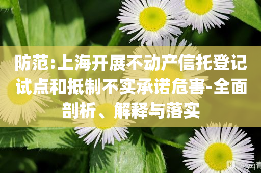 防范:上海開展不動產(chǎn)信托登記試點和抵制不實承諾危害-全面剖析、解釋與落實